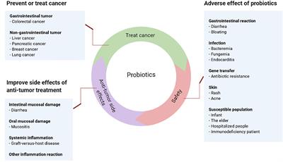 Probiotics in Cancer